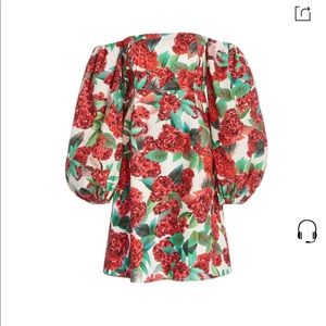 NWT cara cara montauk dress in coxcomb